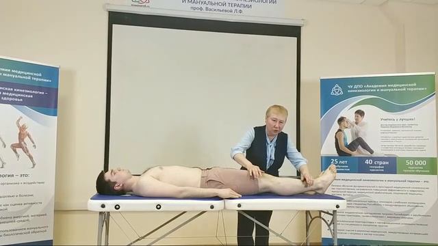 KinesioLife смотреть онлайн