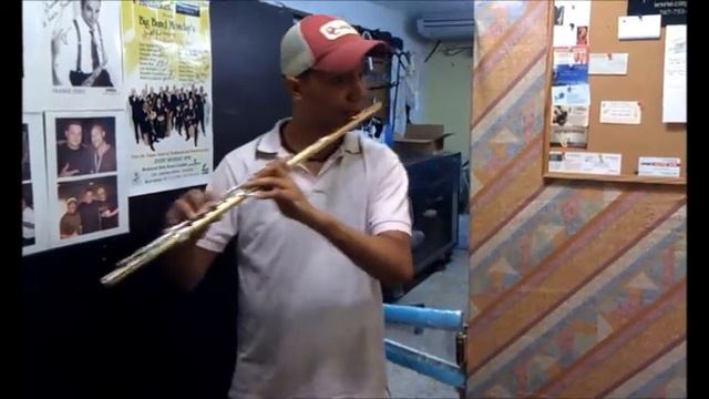 JONATHAN FIGUEROA USING THE RHINO FLUTE STOPPER.wmv смотреть онлайн