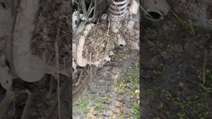 Четкий звук Выхлопа !мотоцикл Урал!