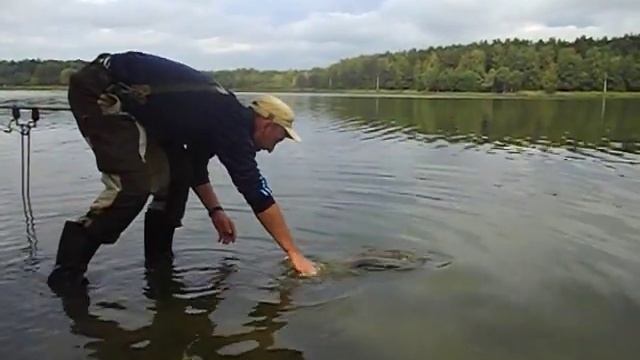 31.08 / РаМеНсКиЙ рЫбХоЗ гЖеЛкА / сПаСиБо За ВоЗвРаТ тРоФеЯ - КАРП 4.8 кг. смотреть онлайн