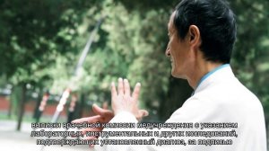 Как получить квоту на ВМП в Петербурге