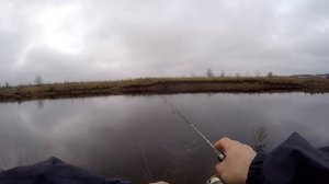 Нет денег на дорогие снасти? Бюджетный мормышинг с Dayo Liropus.