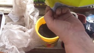 БЫСТРО И БЕСПЛАТНО! ДЕЛАЕМ ВСЕ СТАКАНЧИКИ СВОИМИ РУКАМИ. Ольга Чернова.