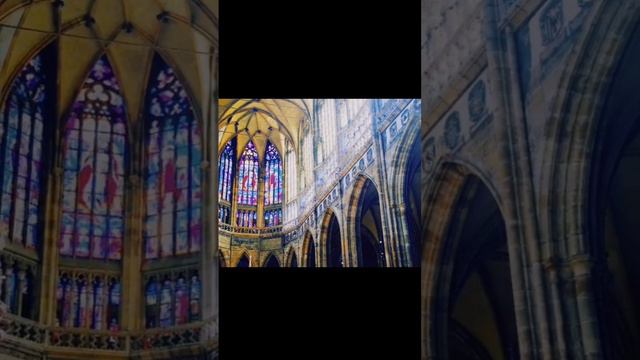 ✨Interior Of ST VITUS CATHEDRAL✨📍Prague, Czech Republic 🇨🇿 #cathedral #stvituscathedral #church