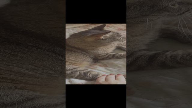 пенсия становится ближе😉 смотреть онлайн