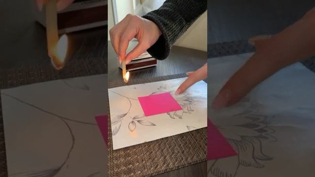 ЗАЩИТА УНИВЕРСАЛЬНАЯ