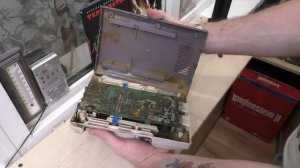 ДЕНДИ из РЕКИ обзор разборка