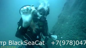 золото маккенны