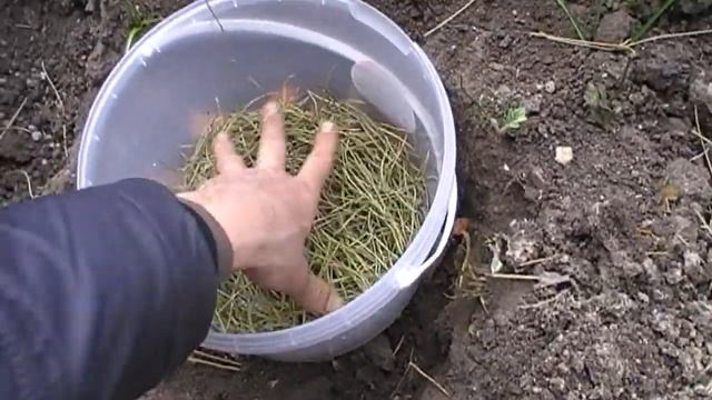 Посадка черники и брусники смотреть онлайн