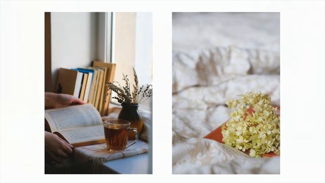 Calm fall ambiance. Cozy autumn in beautiful author's photos and pleasant music.