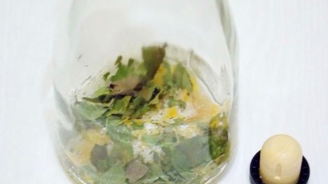Настойка из скорлупы кедровых орехов
