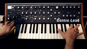 MOOG Subsequent 37 /FUNKY Leads & Basses SOUNDSET