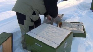 УТЕПЛЯТЬ, или НЕ УТЕПЛЯТЬ пчёл в зиму? [2/4] Зимовка пчёл на улице.