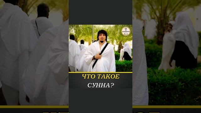 Что такое Сунна ? #сунна #ислам #коран #умма