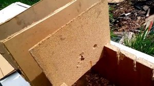 Отстрел патронов "Чейз" Из Мр 80-13т и Мр 353 Сравнение с другими