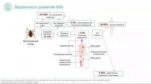 Клещевые инфекции у детей