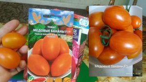 10-ка  вкусных сортов и гибридов  томатов для теплиц.