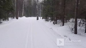 Обзор лыж Тиса Фишер