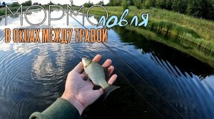 Карась стоит в окнах. Мормышинг