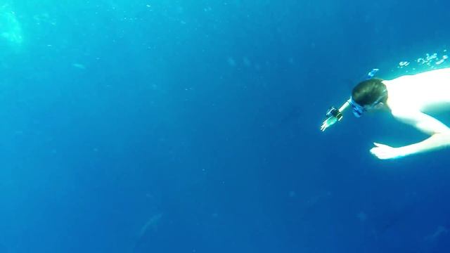 Испания, Балеарское море, Ферма тунцов