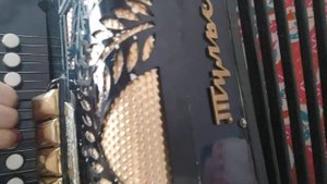 Песня Солнечный зайчик на гармони, цифры 89277382068