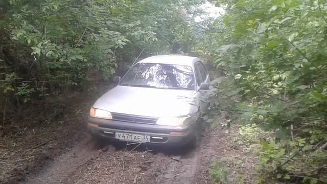 Тест китайских браслетов на тойота королла смотреть онлайн