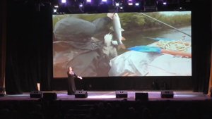 Санкт-Петербург 2017.mp4