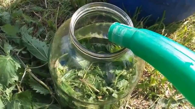 Удобрение из крапивы + Байкал ЭМ1