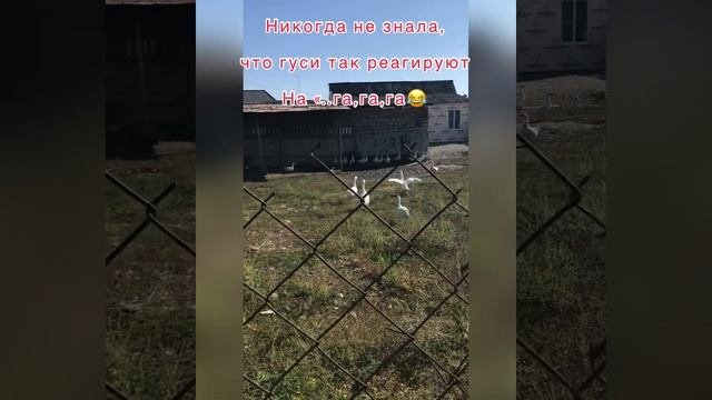 Кабардино-Балкария 2021 сентябрь ..Термальные источники АУШИГЕР
