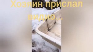 БАГАЖНИК НА КРЫШУ ДЛЯ ЛОДКИ, ПОКУПКА ПЛАСТИКОВОЙ ЛОДКИ, ОБЗОР Nissanmaran Laker.