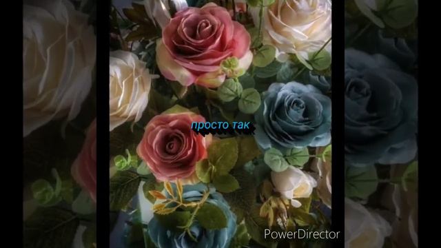 ♥️ Сибирячка - просто так♥️