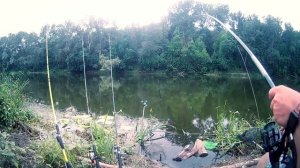 Рыбалка на реке Северский Донец на фидер и донки (пружины) в районе г. Рубежное