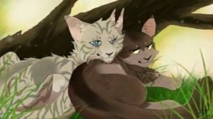 Пары Котов-Воителей  мы все их знаем.=^..^=