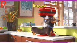 Персонажи 'Тайная жизнь домашних животных' в реальной жизни