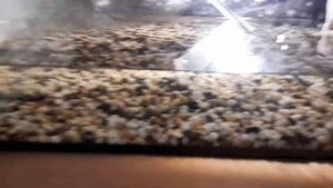 Содержание радужного краба