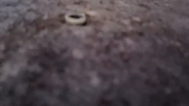 наливной пол ветонит 3000.mov смотреть онлайн