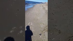 Без придел на побережье Сахалина посёлок Рыбновск .к