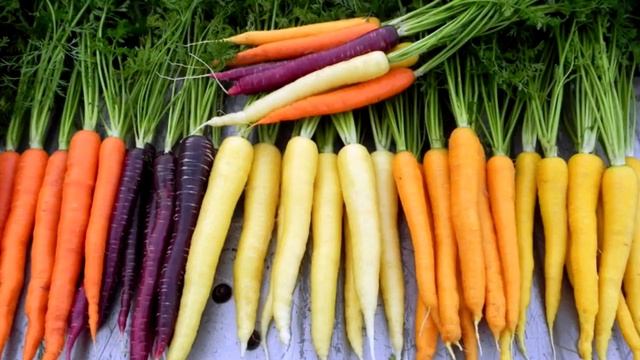 ЧЕМ ПОЛЕЗНА МОРКОВЬ | КАК УЛУЧШИТЬ ВОЛОСЫ И КОЖУ #сок #косметология #морковь #волосы #кожа #красота смотреть онлайн