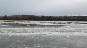 река Амгунь, порыбачили