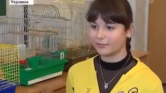 Про чипсы и не только. смотреть онлайн