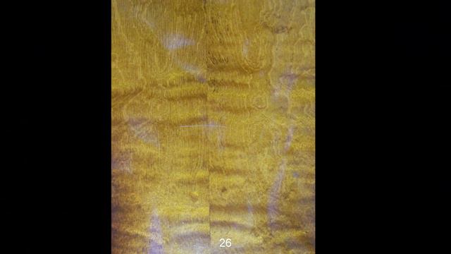 Framus 5 1-50 Acoustic 091712 смотреть онлайн