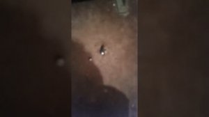 Сливаем конденсат с компрессора