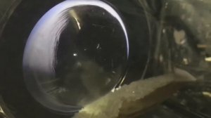 Чистка линз пассат б6