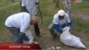 Березовая роща в Кировском районе Волгограда будет сохранена и благоустроена