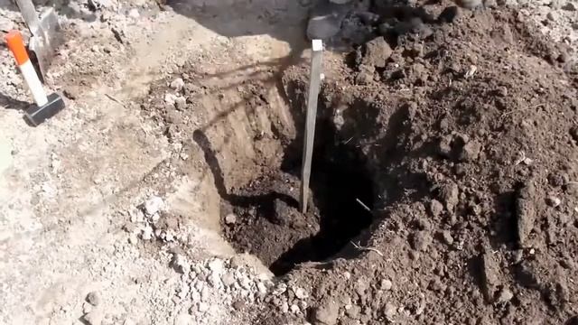 Как правильно посадить саженец плодового дерева смотреть онлайн