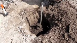 Как правильно посадить саженец плодового дерева