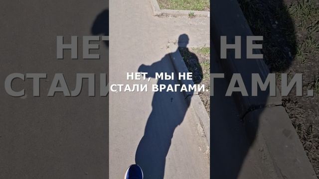 #ВИДЕОПОЭЗИЯ