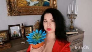 Эхеверия, Уход и содержание #влог #растения #цветы #эхеверия #мамавдекрете #уют #