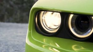 b1vck - Sugar of desert