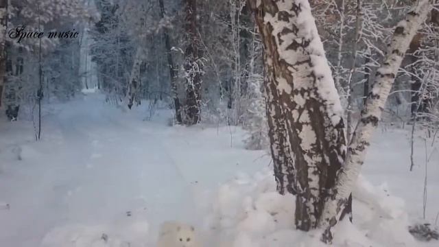 Зима в Сибири .Нежная музыка .Красивые видео - зарисовки . Окунитесь в мир волшебства .Послушайте смотреть онлайн